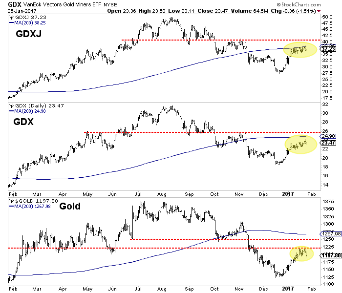 GDX GDXJ and gold charts
